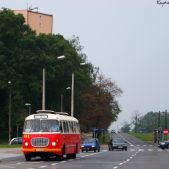 Jelcz 272 MEX #341