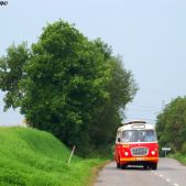 Jelcz 272 MEX #341