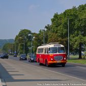 Jelcz 272 MEX #341