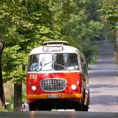 Jelcz 272 MEX #341