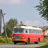 Jelcz 272 MEX #341