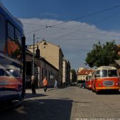Jelcz 272 MEX #341