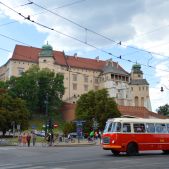 Jelcz 272MEX #341