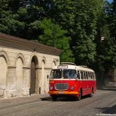 Jelcz 272 MEX #341