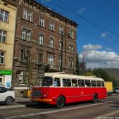 Jelcz 272 MEX #341