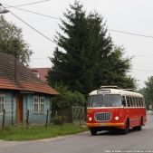 Jelcz 272 MEX #341