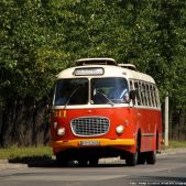 Jelcz 272 MEX #341