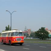Jelcz 272 MEX #341