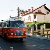 Jelcz 272 MEX #341