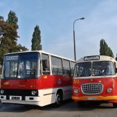 Jelcz 272 MEX #341
