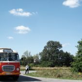 Jelcz 272 MEX #341