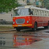 Jelcz 272 MEX #341