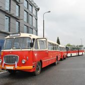 Jelcz 272 MEX #341