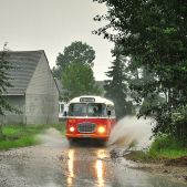 Jelcz 272 MEX #341
