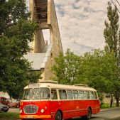 Jelcz 272 MEX #341