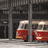 Jelcz 272 MEX #341