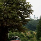 Jelcz 272 MEX #341