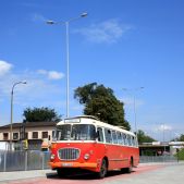 Jelcz 272 MEX #341