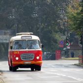 Jelcz 272 MEX #341