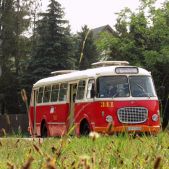 Jelcz 272 MEX #341