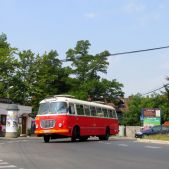 Jelcz 272 MEX #341