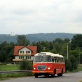 Jelcz 272 MEX #341