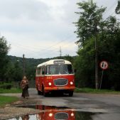 Jelcz 272 MEX #341