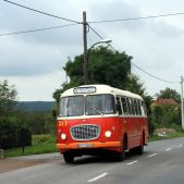Jelc 272 MEX #341