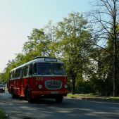 Jelcz 272 MEX #341