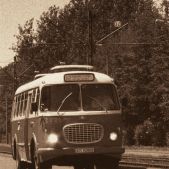 Jelcz 272 MEX #341