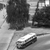 Jelcz 272 MEX #341