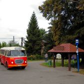 Jelcz 272 MEX #341