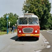Jelcz 272 MEX #341