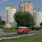 Jelcz 272 MEX #341