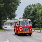 Jelcz 272 MEX #341