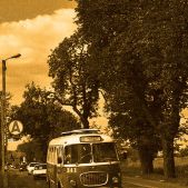 Jelcz 272 MEX #341