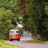 Jelcz 272 MEX #341