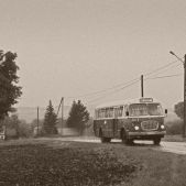 Jelcz 272 MEX #341