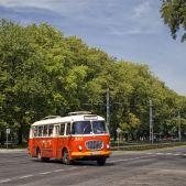 Jelcz 272 MEX #341