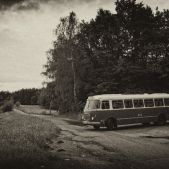 Jelcz 272 MEX #341
