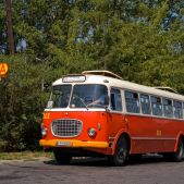 Jelcz 272 MEX #341