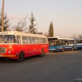 Jelcz 272 MEX #341