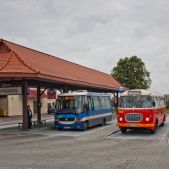 Jelcz 272 MEX #341
