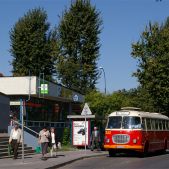 Jelcz 272 MEX #341