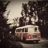 Jelcz 272 MEX #341