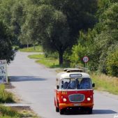 Jelcz 272 MEX #341