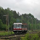 SN81-004