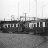 Zieleniewski #137 + P1D #392
