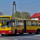 Jelcz M181MB #649