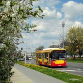 Jelcz M121M CNG #684